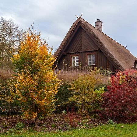 Exklusives Holzhaus Villa Burg  Bagian luar foto