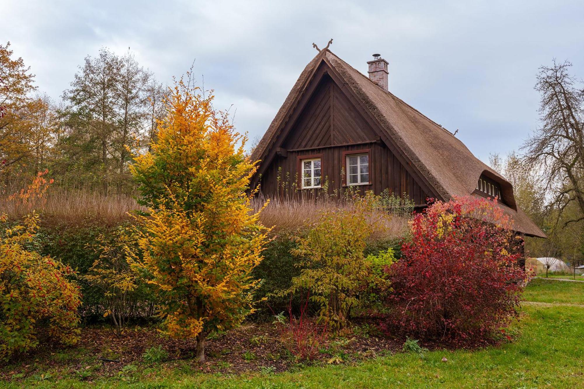 Exklusives Holzhaus Villa Burg  Bagian luar foto