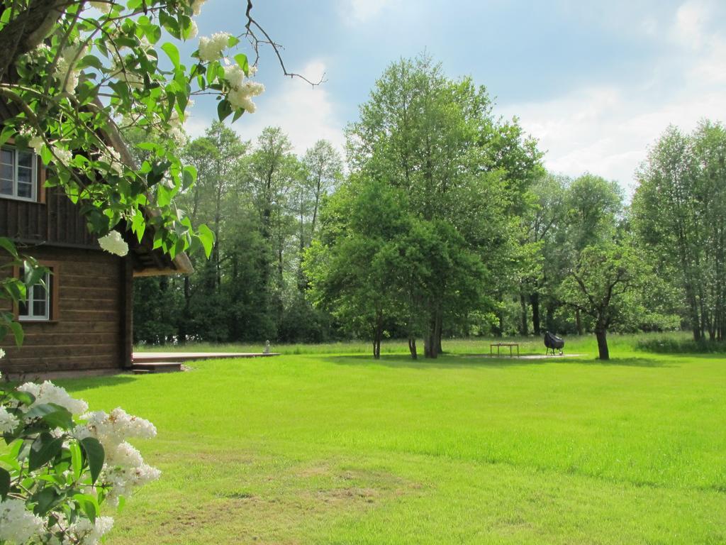 Exklusives Holzhaus Villa Burg  Ruang foto